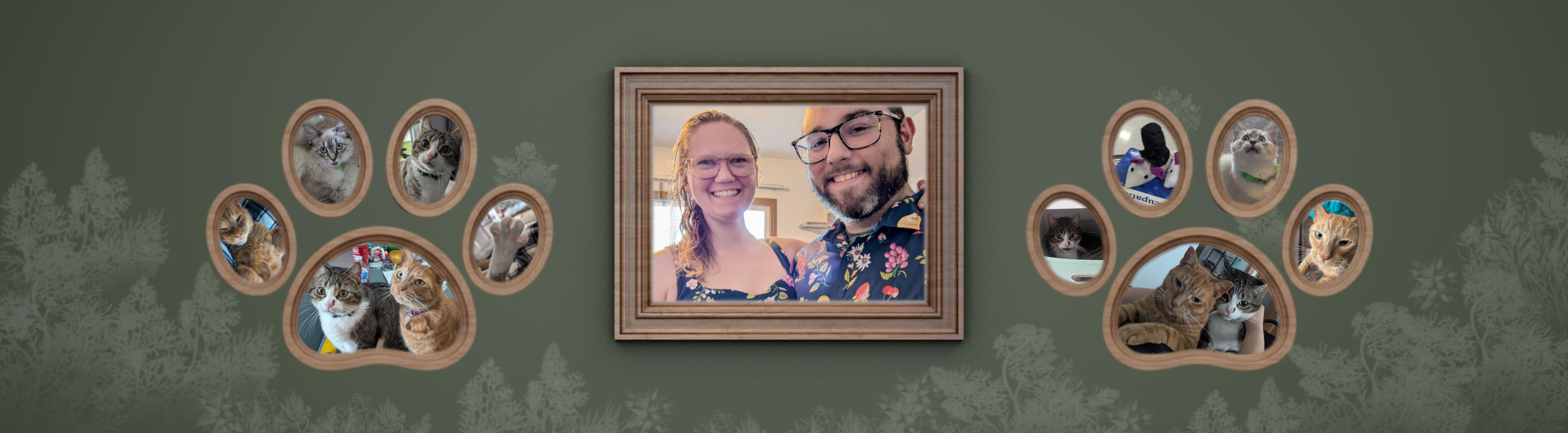 Our cat photo wall