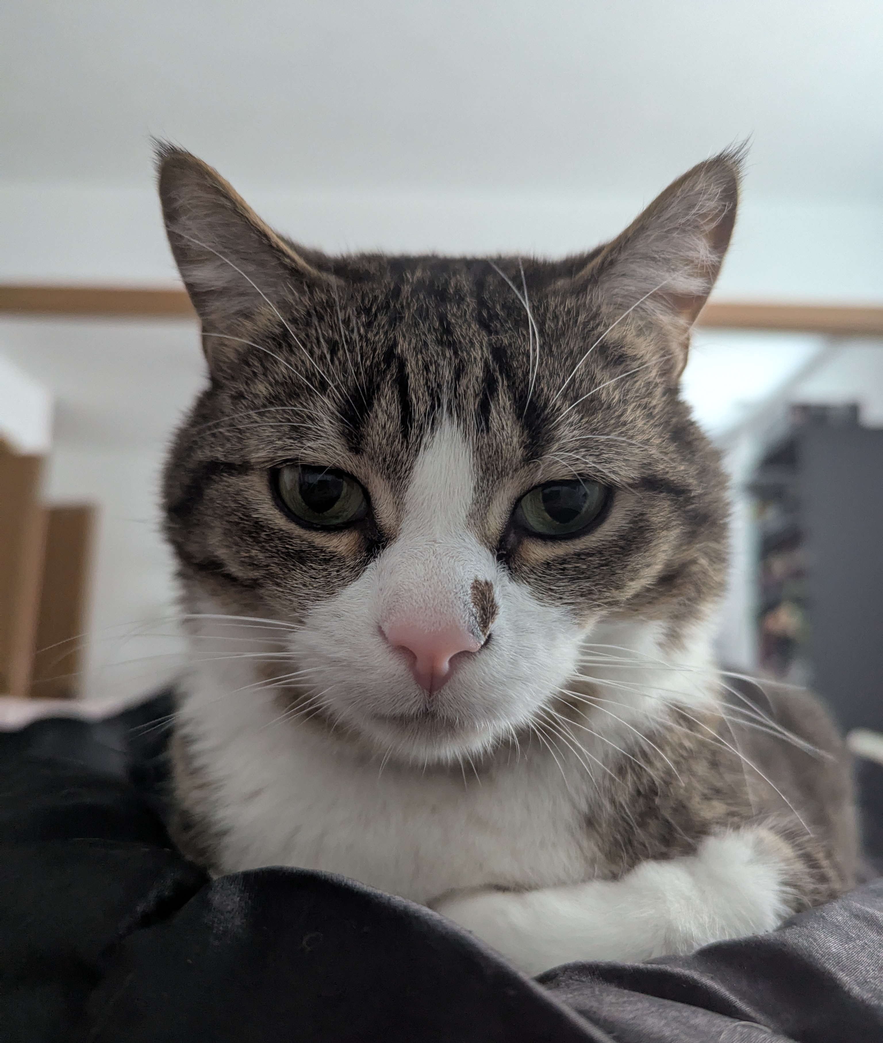 Mulder